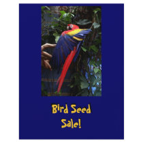 Macaw Custom Flyer
