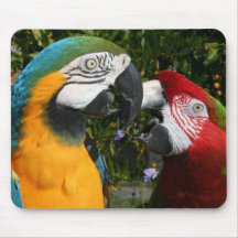 Macaw Friends Mousepad