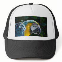 Macaw hats by TenLakesRealty Macaw hats