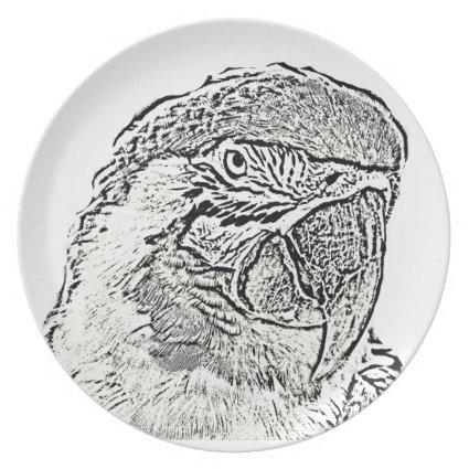 macaw head view graphic outline parrot party plates