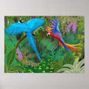 Macaw Jungle Poster print