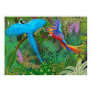 Macaw Jungle Poster