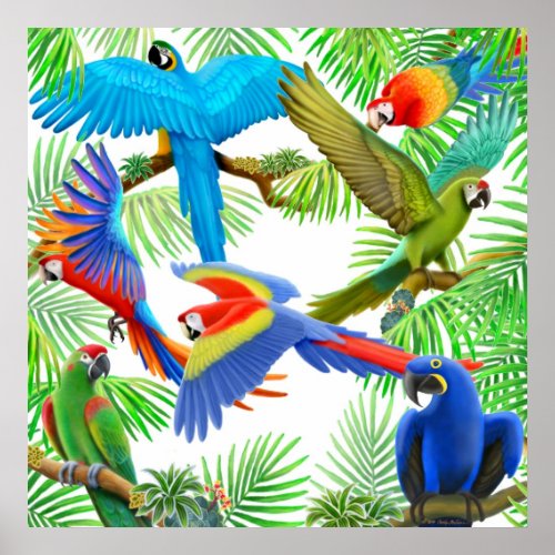 Macaw Jungle Poster print