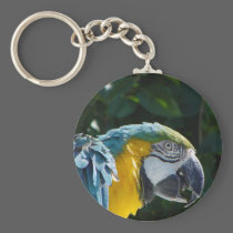 Macaw Key Chain keychains