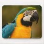 macaw mouse mats