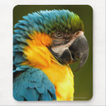 macaw mouse mat