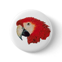 Macaw Parrot Badge Pin buttons