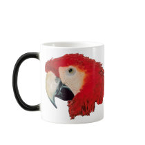 Macaw Parrot Bird Morphing Mug mugs