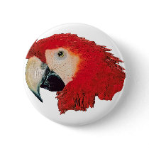 Macaw Parrot buttons