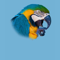 Macaw Parrot, Customizable Tee Shirt