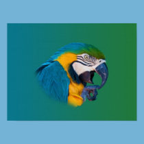 Macaw Parrot, Green and Blue, Print posters