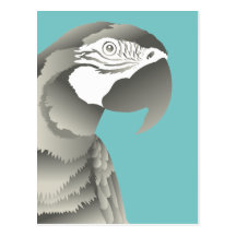 MACAW PARROT GREY POSTCARD