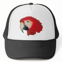 Macaw Parrot hats