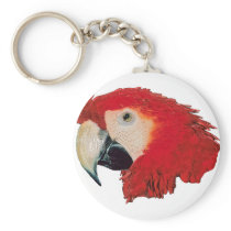 Macaw Parrot keychains