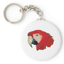Macaw Parrot keychains