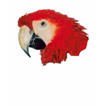 Macaw Parrot Ladies Hoodie t-shirts