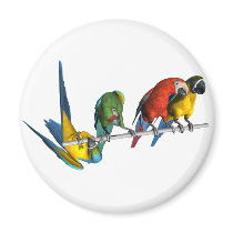 Macaw Parrot magnets by Bigboy20769 Macaw Parrot magnets
