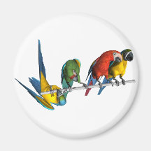 Macaw Parrot Magnets