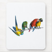 Macaw Parrot Mouse Mat