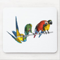 Macaw Parrot mousepads