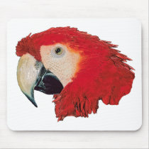 Macaw Parrot mousepads