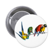 Macaw Parrot Pin