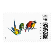 Macaw Parrot Stamp