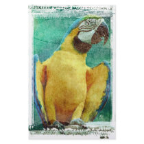 Macaw Parrot stationery