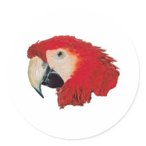 Macaw Parrot stickers