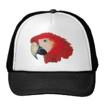 Macaw Parrot hats