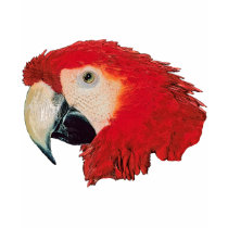 Macaw Parrot t-shirts