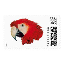 Macaw Parrot US Postage Stamps stamps