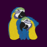 Macaw Parrots