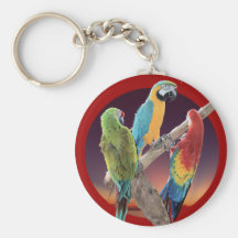 Macaw Parrots Key Chains