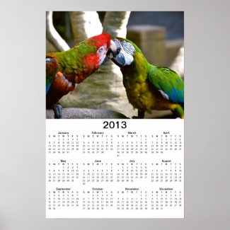 Macaw Parrots Kissing 2013 Calendar Poster
