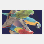 Macaw Parrots Rectangle Sticker