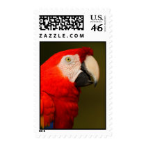 macaw postage by WorldDesign macaw postage