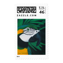Macaw Postage