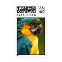 macaw postage by WorldDesign macaw postage