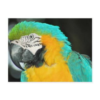 In association with Zazzle.com