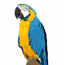Macaw T-shirt