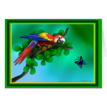 macaw tarjeta