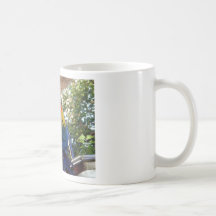 macaw taza