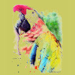 Macaw-Tee t-shirts