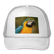 macaw trucker hats