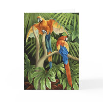 Macaws Card