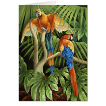 Macaws Card