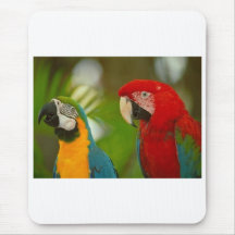 macaws mouse mat