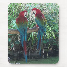 Macaws Mouse Pad