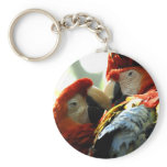 Macaws of Love Key Chain